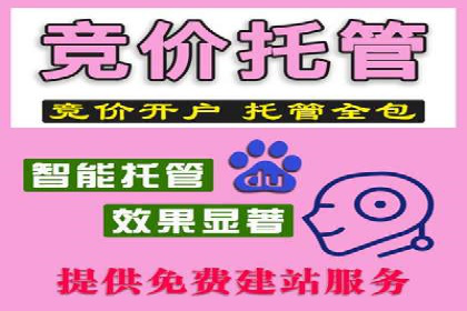 SEM竞价代运营公司实战案例分享